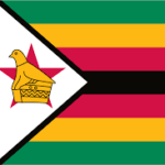 zim-e1749703345914.png
